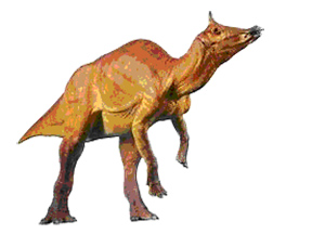 image-747431-Augustynolophus_4.jpg